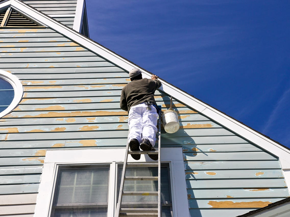 Best Siding Options