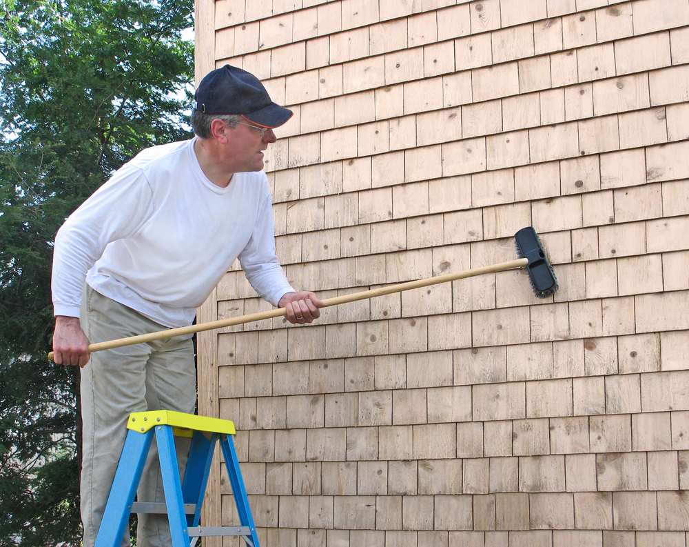 Cedar Siding Care