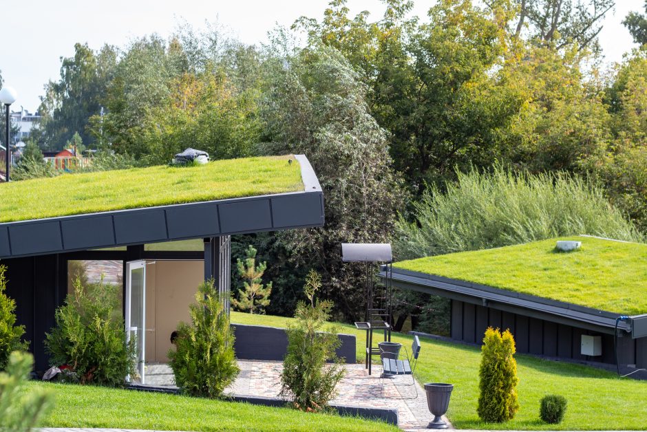 Living Roof