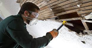 Remove Asbestos Siding2