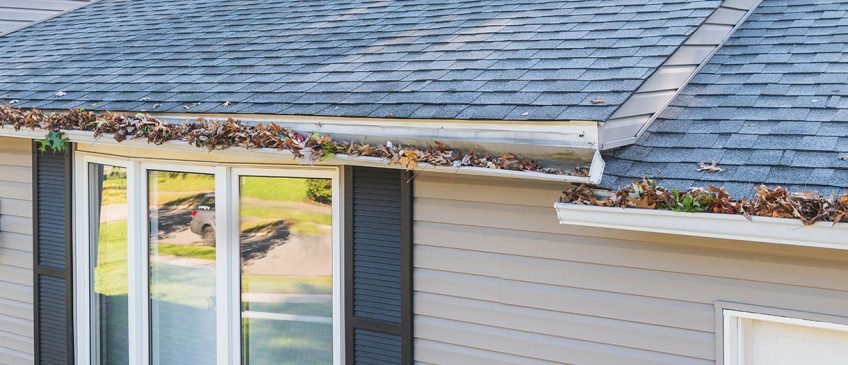Roof Gutter Issues