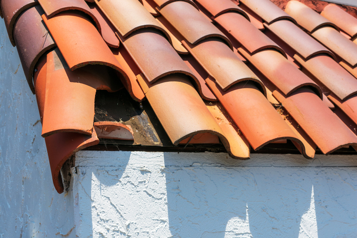 Broken clay roof tile.