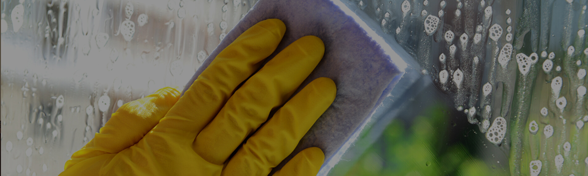 The-Proper-Maintenance-for-Your-Windows The-Proper-Maintenance-for-Your-Windows-1.jpg