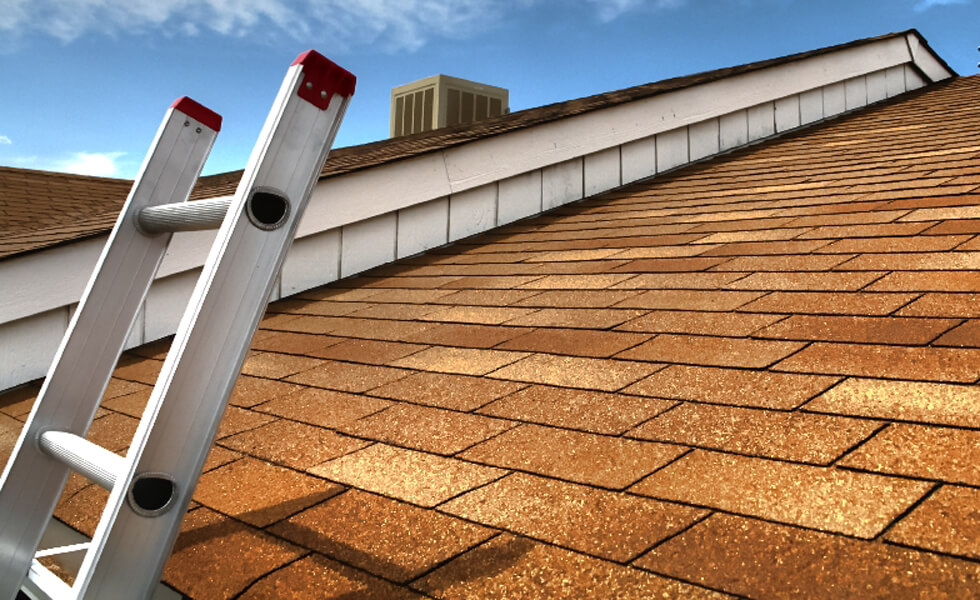 roof-repair-service roof-repair-service-1.jpg