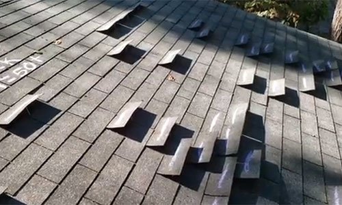Lots of Unseen Wind Damage
