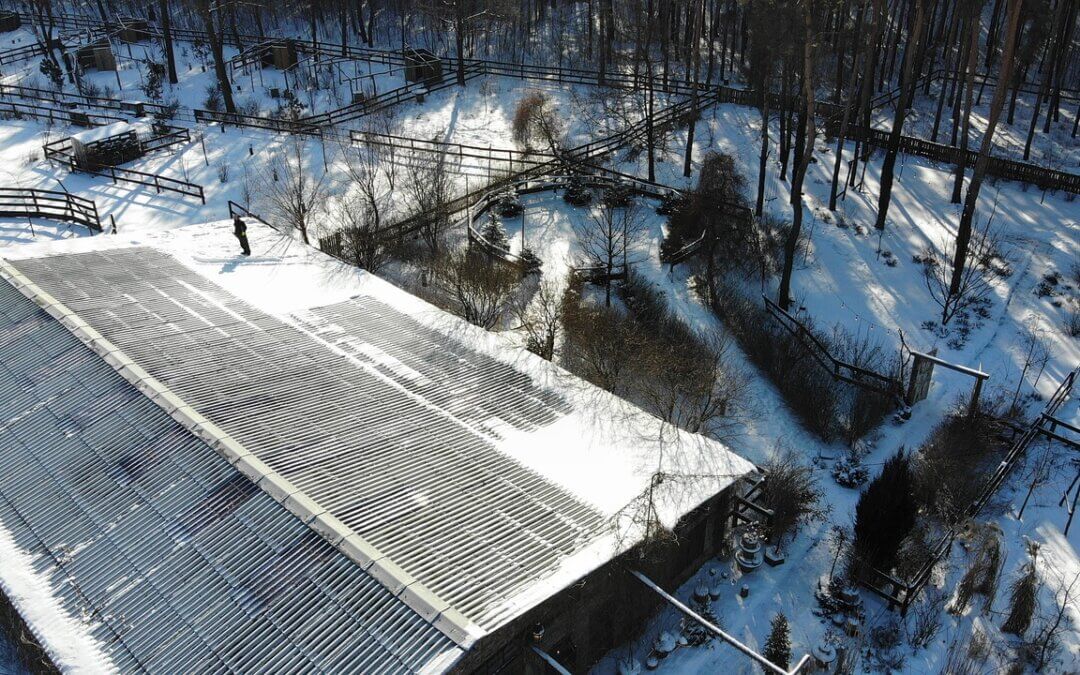 Ultimate Roof Maintenance Tips Every Dale City, VA Homeowner Should Know