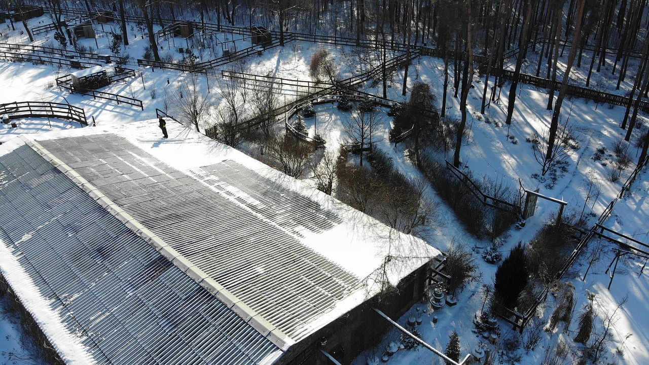 Ultimate Roof Maintenance Tips Every Dale City, VA Homeowner Should Know